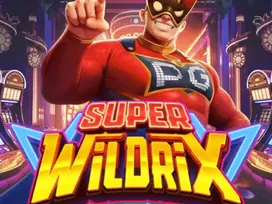 ภาพเกม ซุปเปอร์ไวลด์ริกซ์